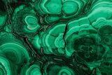 Flowery Polished Malachite Slab - DR Congo #350841-1